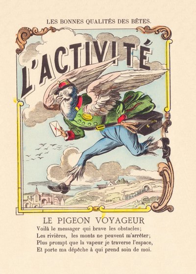 活動1900年頃の伝書鳩（エピナル・プリント） 作： French School