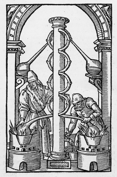 19世紀後半に出版された「魔法の歴史」で使用された、フィリップスウルスタディウスの「コエルムフィロソフォラム」からのイラストのコピー、パリ1544 作： French School