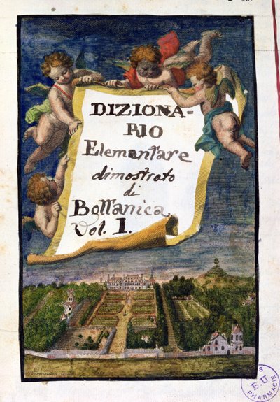 パリのジャルダンデプランテス、Dizionario Elementare dimostrato di Bottanica、ボリュームI Istitutiones Rei Herbariaeからの口絵、Joseph Pitton de Tournefort（1656-1708）、パリで出版1 作： French School