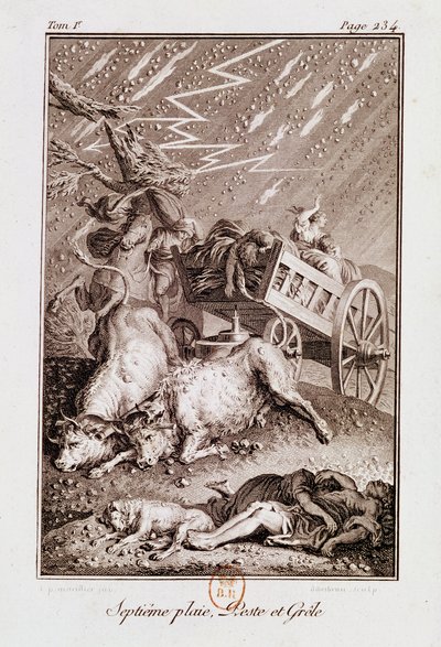 エジプトの疫病：アイザック・ルマイストル・ド・サシー（1613-84）による「聖書」の病気の牛、沸騰とあられの疫病 作： French School