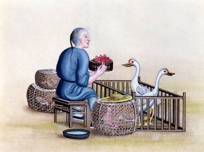 家禽商、北京の街路呼びに関する本、c.1785（紙とトイレとガッシュ） 作： French School