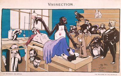 動物の復讐、生体解剖の風刺画、1909 作： French School