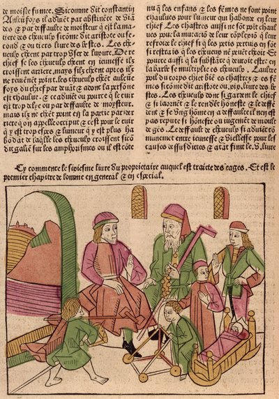 人生の段階、バルテルミーラングレ作「ルリヴルデプロプリエテデチョース」、1485年（色の木版画） 作： French School
