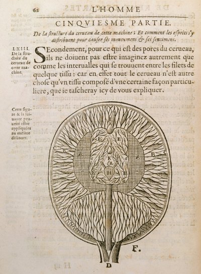 脳の構造、1662年、ハーグで出版されたルネデカルト（1596-1650）によるデホーミネフィグリスから 作： French School
