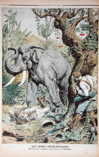 インドでの象狩りの悲劇的な終わり、1906年11月25日、ルプチジャーナルのイラスト 作： French School