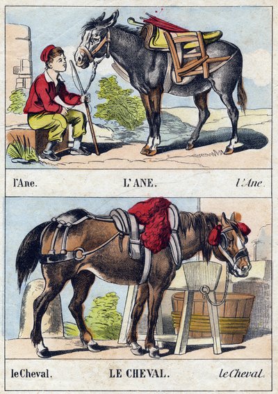 ロバと馬。Buffon Alphabet des Animaux "のエングレーヴィング。3rd Series N 1. Imaging of Epinal, Epinal, late 19th century.16ページ。ディム：28x21cm 作： French School