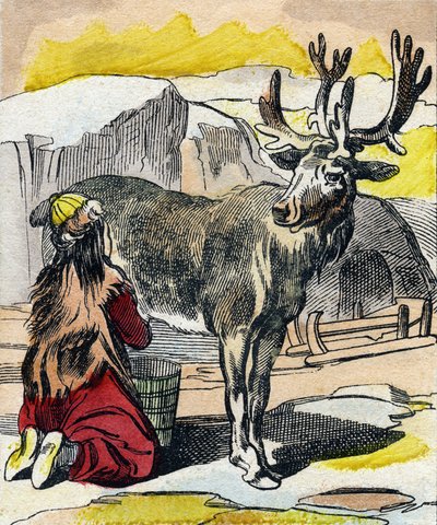 乳を搾られるトナカイ。Buffon Alphabet des Animaux "のエングレーヴィング。3rd Series N 1. Imaging of Epinal, Epinal, late 19th century.16ページ。ディム：28x21cm 作： French School