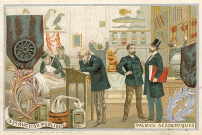Ordre des Palmes Academiquesをイメージしたトレードカード 作： French School