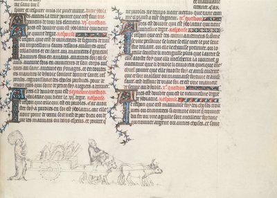 牛が描いた荷車で荷物を運ぶ、ジャン・ド・シーの聖書、1355年頃の未完成のミニチュア 作： French School