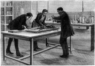 ルイ・パスツール（1822-1895）の実験室で狂犬病の研究のために行われたウサギの穿孔。La Nature "に掲載された版画。Revue des sciences et de ses applications aux arts and a