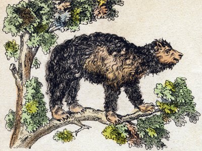 ウナウ（怠け者）。Alphabet des animaux sauvages "に掲載されている版画です。9th Serie.エピナルのイメージ、ペラン、印刷・出版業者、1870年頃。木にステンシルで描かれた版画。16ページ。20×15cm。個人蔵 作： French School