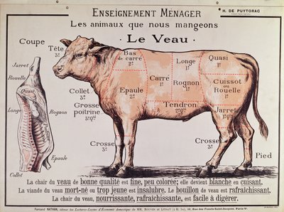 仔牛肉：さまざまな肉の切り身を描いた図 作： French School