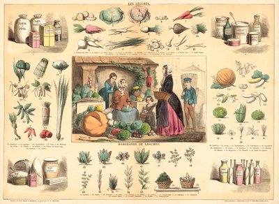 野菜（彩色済み彫刻 作： French School
