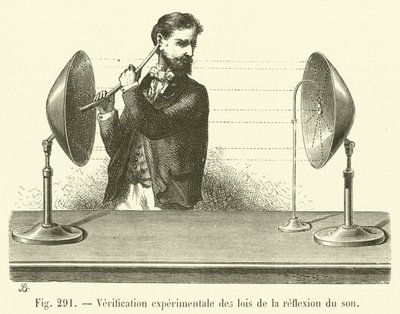 音の反射の法則を実験的に検証（彫刻編 作： French School