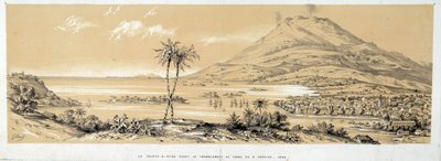 地震前のポワント・ア・ピートル（Pointe-a-Pitre）の眺め。1843年のエングレーヴィング。シャルトル、美術博物館 作： French School