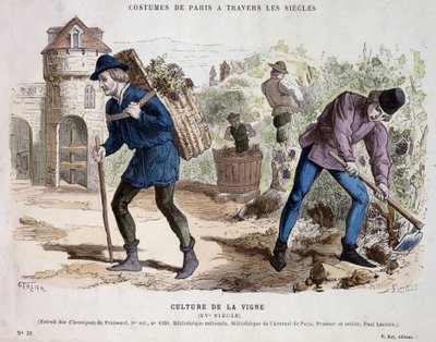 15世紀のブドウ栽培 - "Costume de Paris through the centuries "にて 作： French School