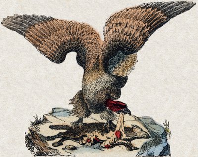 ハゲタカ。Alphabet des animaux sauvages "に掲載されている彫刻。9th Serie.エピナルのイメージ、ペラン、印刷・出版業者、1870年頃。木にステンシルで描かれた版画。16ページ。16ページ。厚さ20×15cm。個人蔵 作： French School