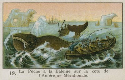 南アメリカ沖の捕鯨 作： French School