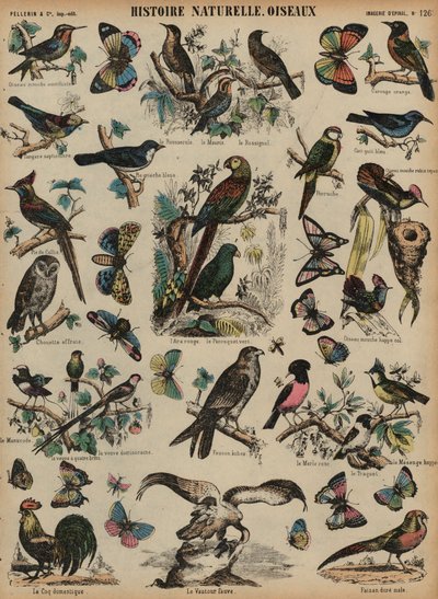 野鳥（彩色済み彫刻 作： French School