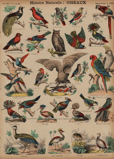 野鳥（彩色済み彫刻 作： French School
