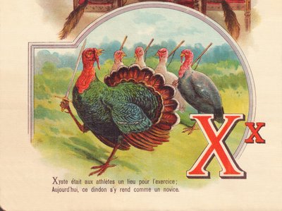 X：Xysteはアスリートが運動する場所でした。今日、この七面鳥は初心者のようにそこに行きます 作： French School