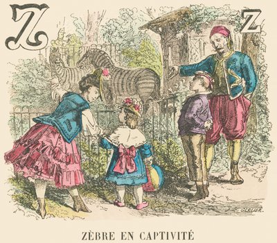 Z：飼育下のシマウマ 作： French School