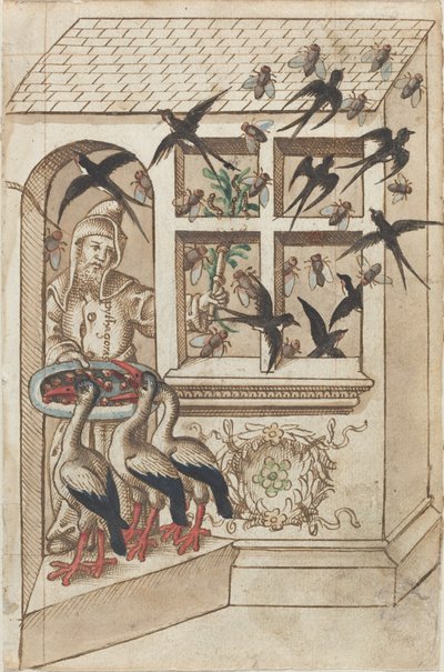 「同じ屋根の下にツバメを飼うな」[fol. 40直腸] 作： French early 16th Century
