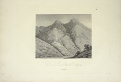 アレキサンダー・フォン・フンボルトとアイム・ボンプランの「Vues des Cordillères et Monumens des Peuples Indigènes de l