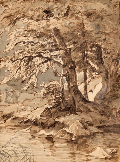 木の研究 作： Friedrich August Mathias Gauermann