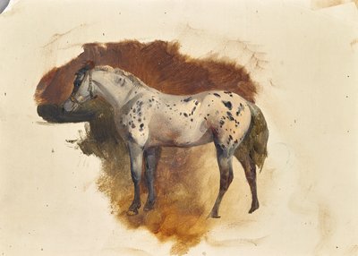 斑点のあるカビ 作： Friedrich August Mathias Gauermann