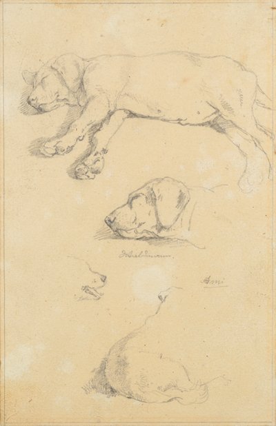 犬の研究: ヴァルトマンとアミ 作： Friedrich August Mathias Gauermann