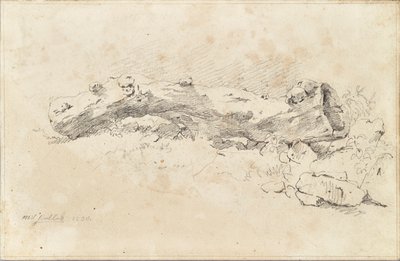 横になっている中空の木の幹 作： Friedrich August Mathias Gauermann