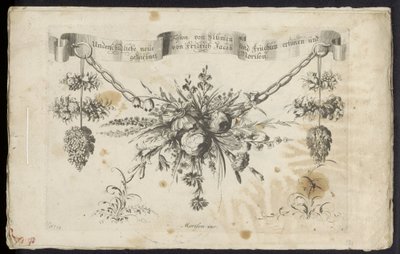 花と果物の別の新しい花綱 作： Friedrich Jacob Morisson