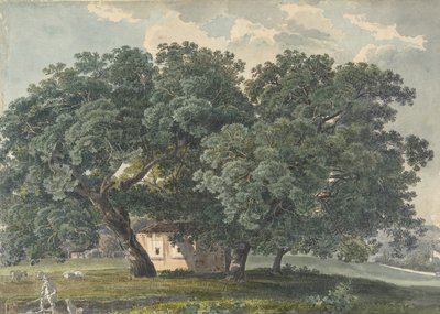 直角の木のあるイタリアの風景、1815-21。 作： Friedrich Salathé