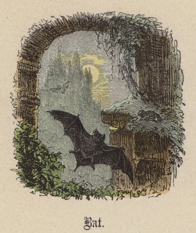 バット（彩色済み彫刻 作： Friedrich Specht