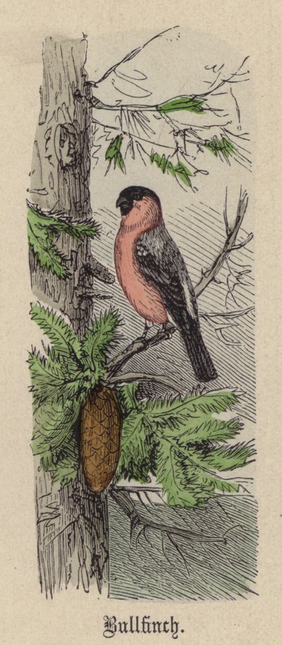 ウシジマくん（彩色済み彫刻 作： Friedrich Specht