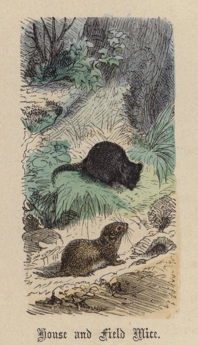 ハツカネズミと野ネズミ（彩色済み彫刻 作： Friedrich Specht