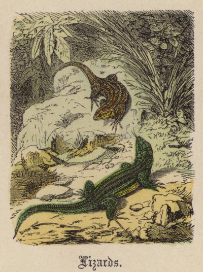 トカゲ（彩色された彫刻 作： Friedrich Specht