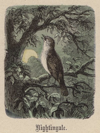 ナイチンゲール（彩色済み彫刻 作： Friedrich Specht