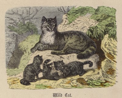 ワイルドキャット（彩色済み彫刻 作： Friedrich Specht