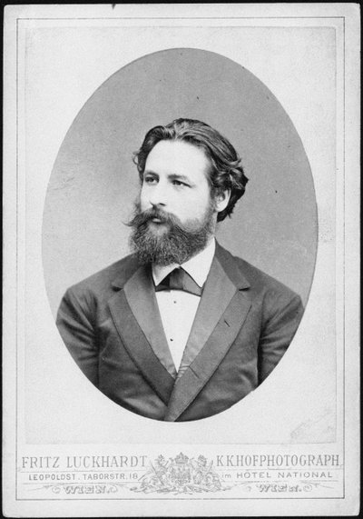 ピアニストで作曲家のハインリッヒカールヨハンホフマン1842-1902の肖像。 作： Fritz Luckhardt