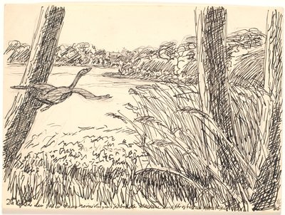 すると、いきなり羽を広げて……。 作： Fritz Syberg