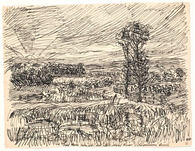 それからそれはカモが住む大きな湿地に出てきました 作： Fritz Syberg