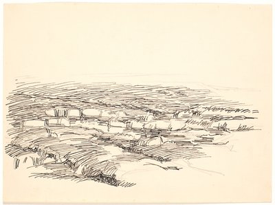 湿原景観の研究 作： Fritz Syberg