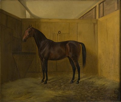 ブルーノ 作： Fritz Thomsen