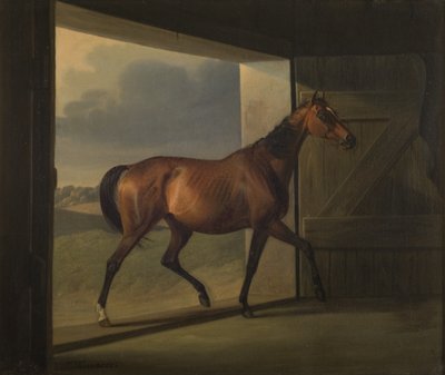 ジュッタ 作： Fritz Thomsen