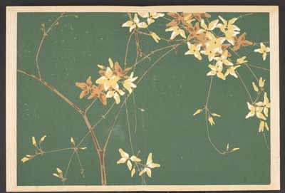 写生草花模様 生命の草花文様 作： Furuya Korin