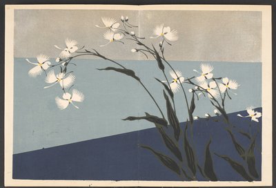 写生草花模様 生命の草花文様 作： Furuya Korin