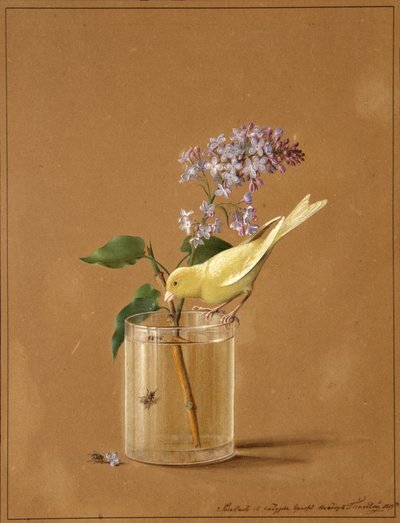 ライラックの小枝にとまるカナリア鳥、1819 年 作： Fyodor Petrovich Tolstoy