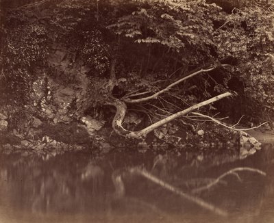 ニースの谷の川岸、c。 1855年。 作： G. B. Gething